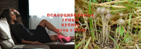 ALPHA PVP Костерёво