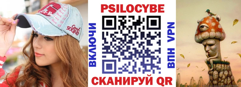 Купить закладки Питкяранта Псилоцибиновые грибы прущие грибы